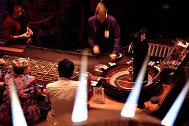 Casino Cat